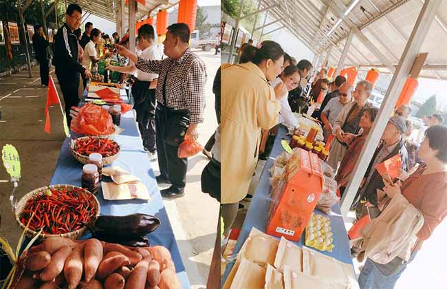 1569294870760230.jpg 未标题-1.jpg