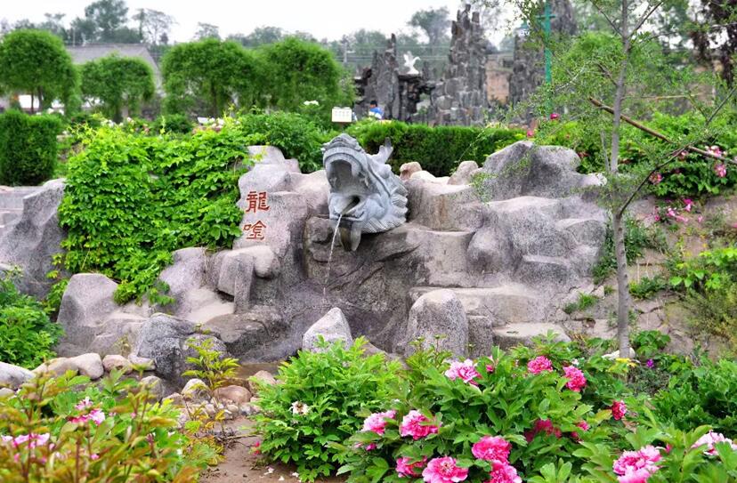 1594692520718212.jpg 1594692520718212.jpg