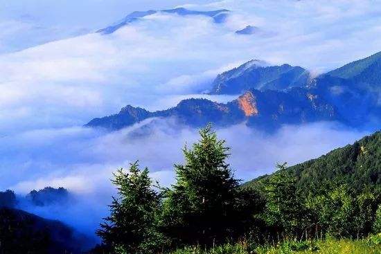 1604303368585575.jpg 1604303368585575.jpg