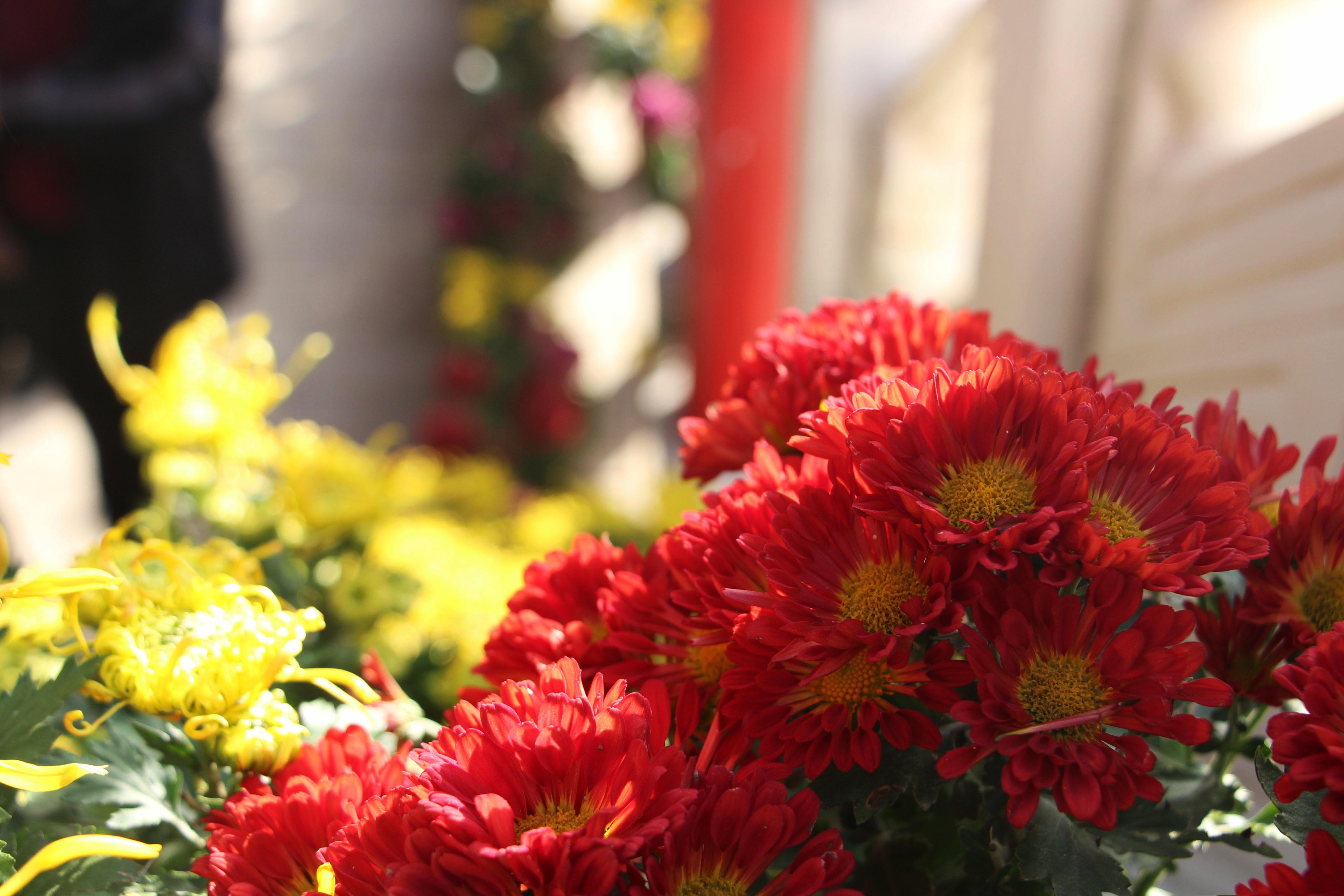 1604569457748415.jpg 1604569457748415.jpg