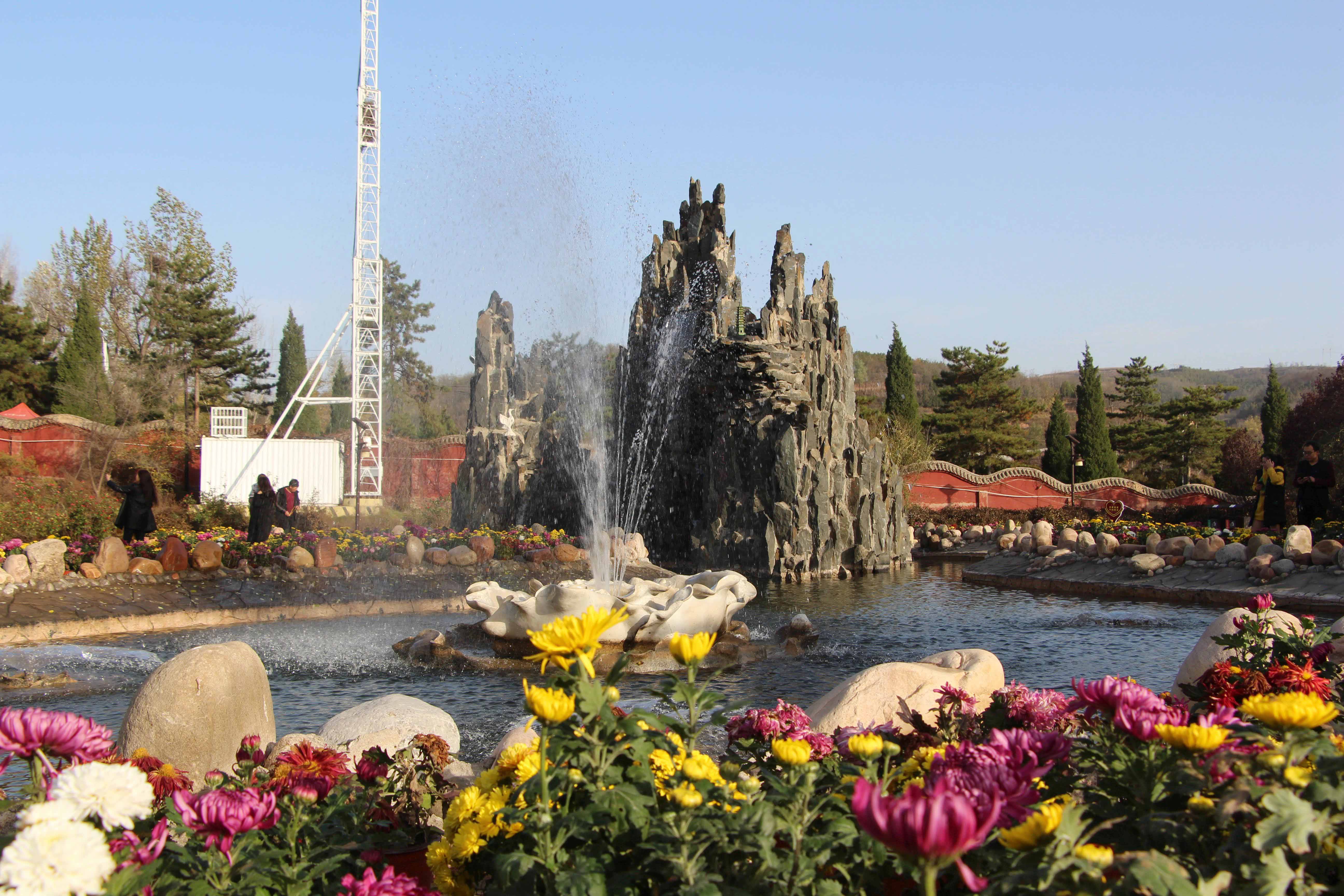 1604569704120139.jpg 1604569704120139.jpg