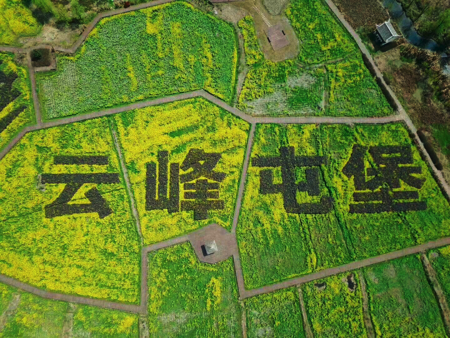 1606379107910543.jpg 1606379107910543.jpg