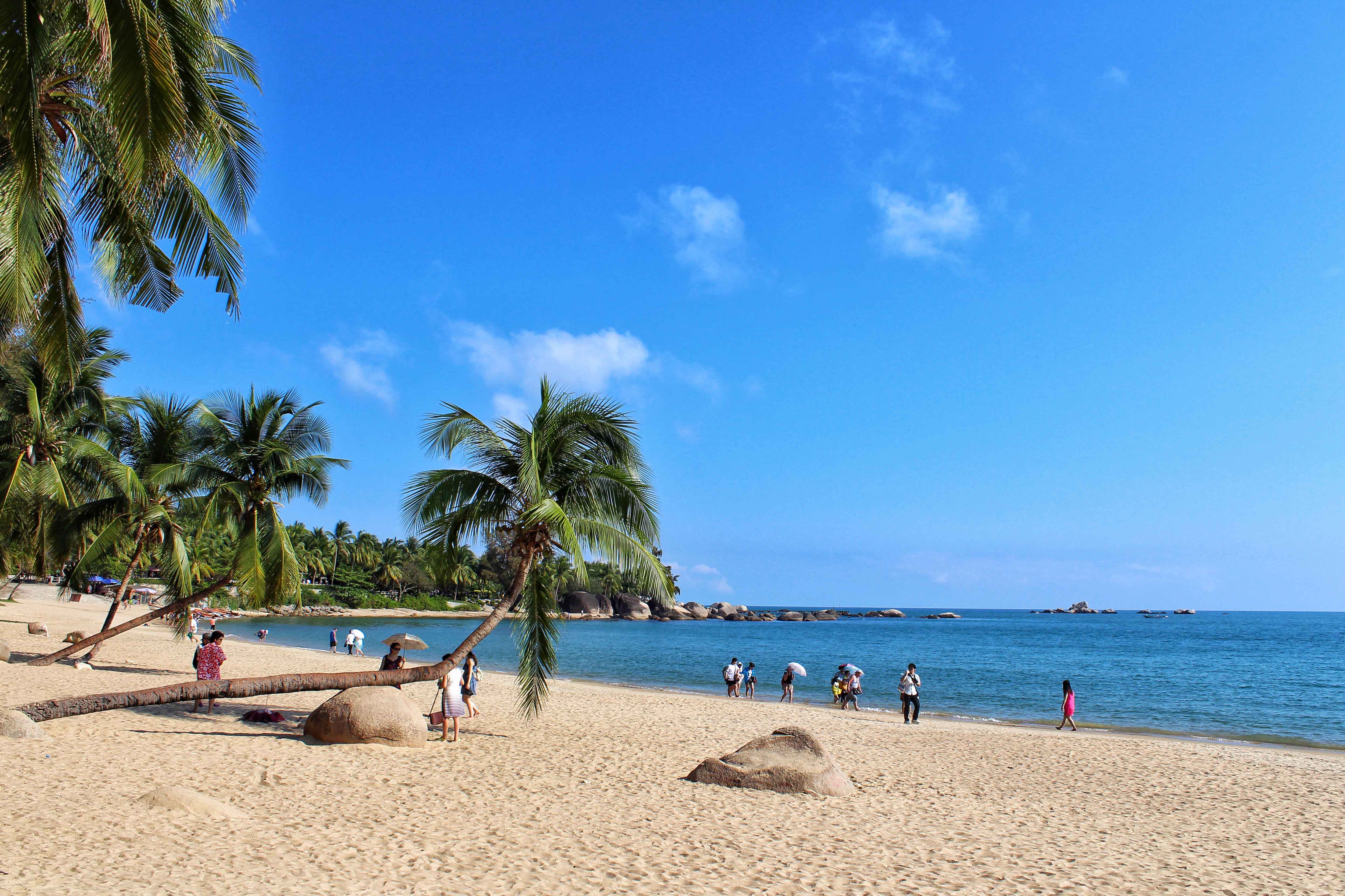 1607655418267595.jpg 1607655418267595.jpg