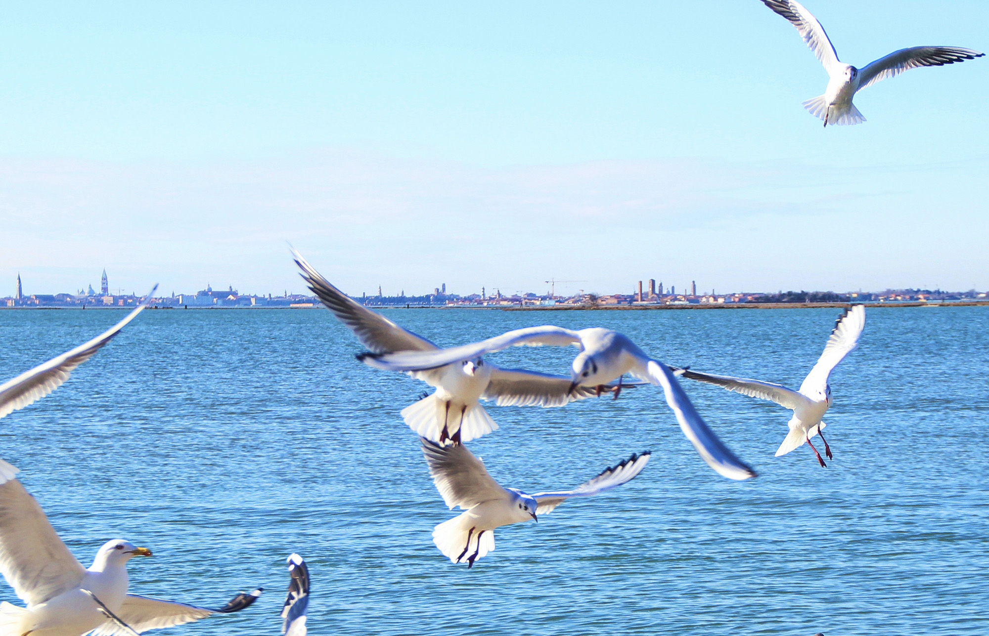 1608103644349677.jpg 1608103644349677.jpg