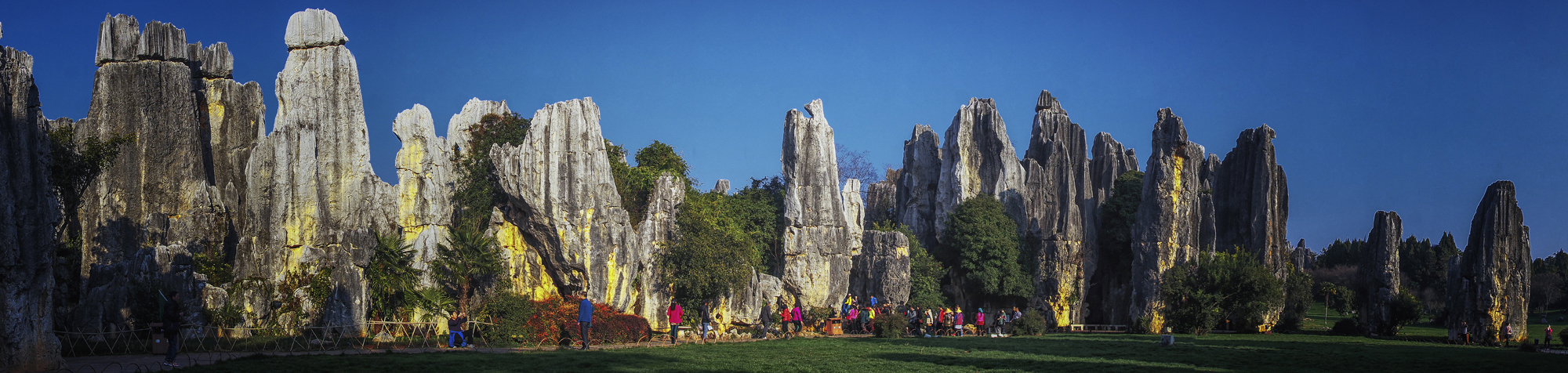 1608104337411550.jpg 1608104337411550.jpg