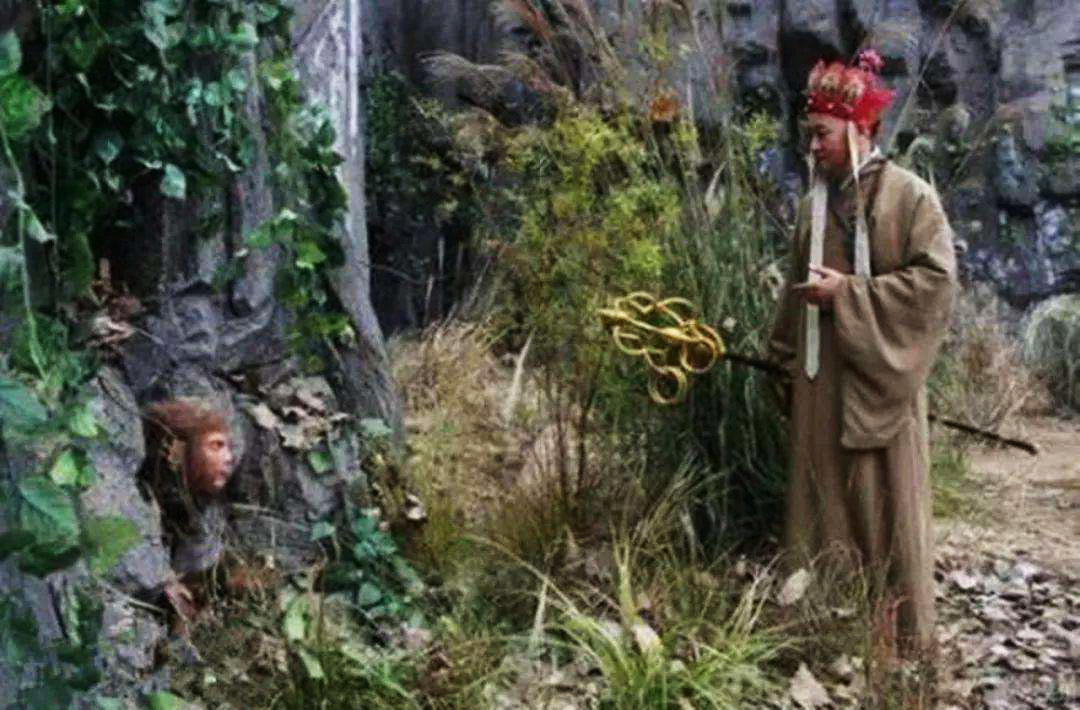 1608104666654173.jpg 1608104666654173.jpg