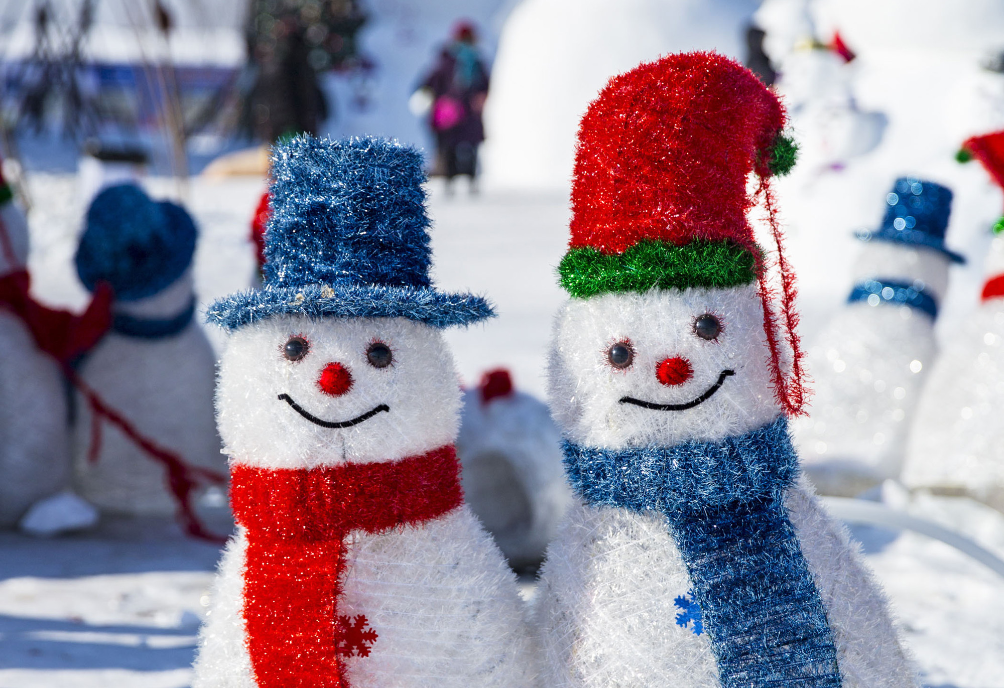 1610094262344377.jpg 1610094262344377.jpg